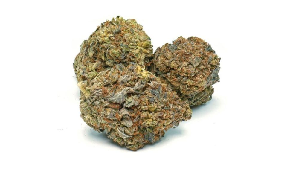 The Death Bubba strain has a packed terpene profile that contributes to its unique attributes. 