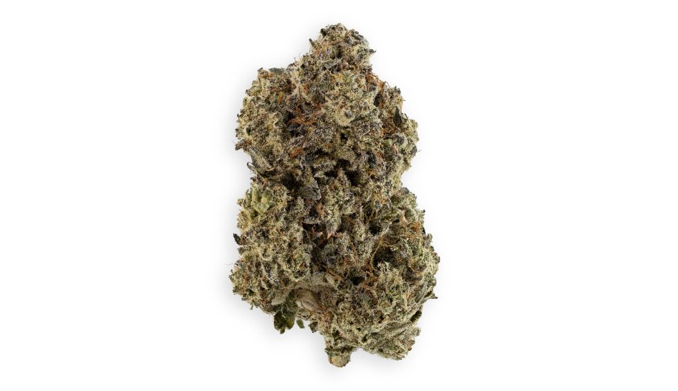 It is a cross between Grease Monkey and Triple OG, two cannabis strains loved by stoners all around the world. 