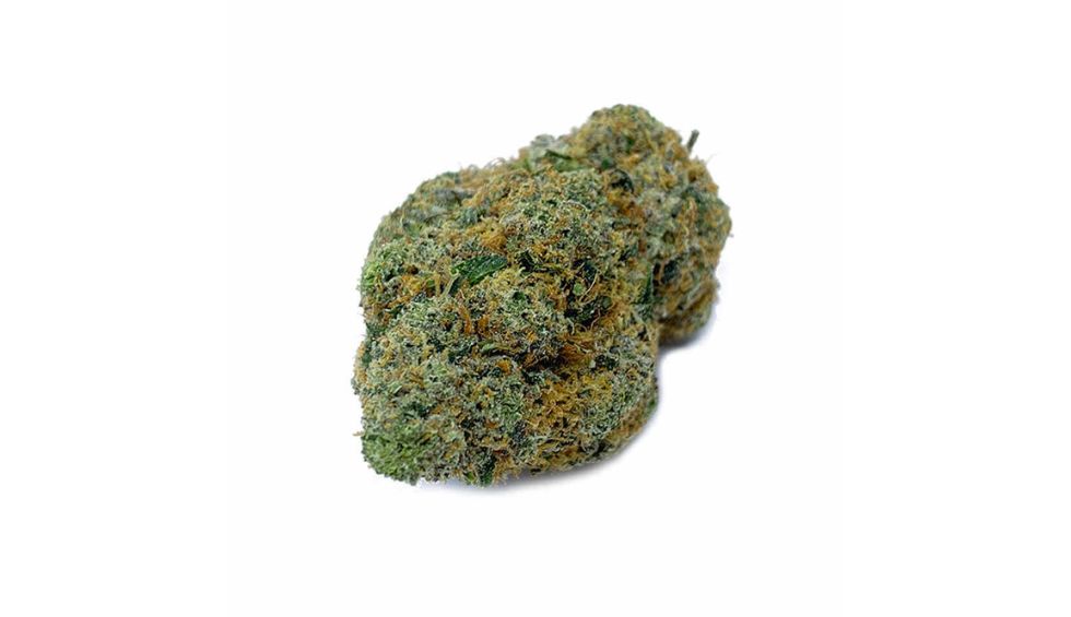 The Donkey Butter strain delivers one of the most complex fragrances we’ve ever encountered. 