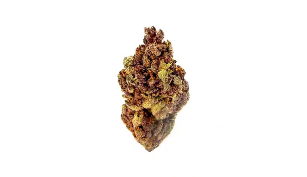 The terpene profile is a key aspect to consider before you buy weed from an online dispensary. 