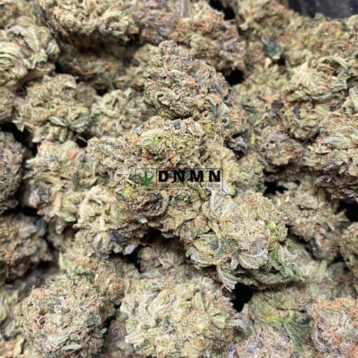 Greasy Bubba - Online Dispensary Canada - Dispensary Near Me Now