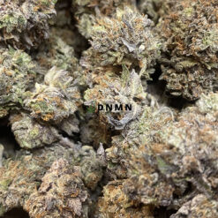 Peyote Cookies - Cheap Weed Canada - Dispensary Near Me Now