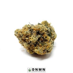 Sunset Sherbet - Buy Weed Online - Dispensary Near Me Now