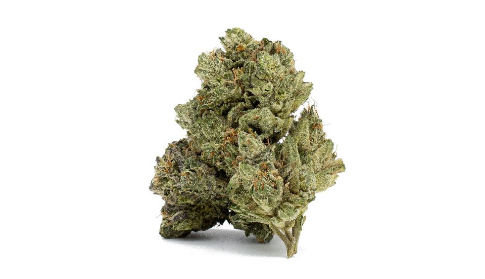 Death Bubba weed is a hard-hitting strain known for its intense effects that leave you relaxed and chilled. After just a few puffs, this strain will glue you on the couch or drive you into a deep sleep. 