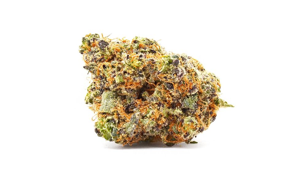 Gorilla Glue weed, also known as GG4 or original Glue, is an award-winning strain with several accolades under its name. 