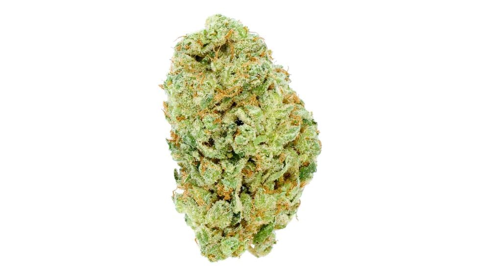 This strain is known for its stimulating effects. Unlike other strains that make you feel sluggish, this one improves your focus and also motivates you.