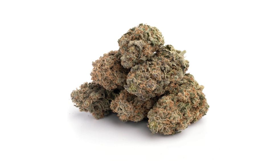 Here is how this strain compares to other popular cannabis strains. Several weed strains are available at our online cannabis store, DispensaryNearMeNow. 