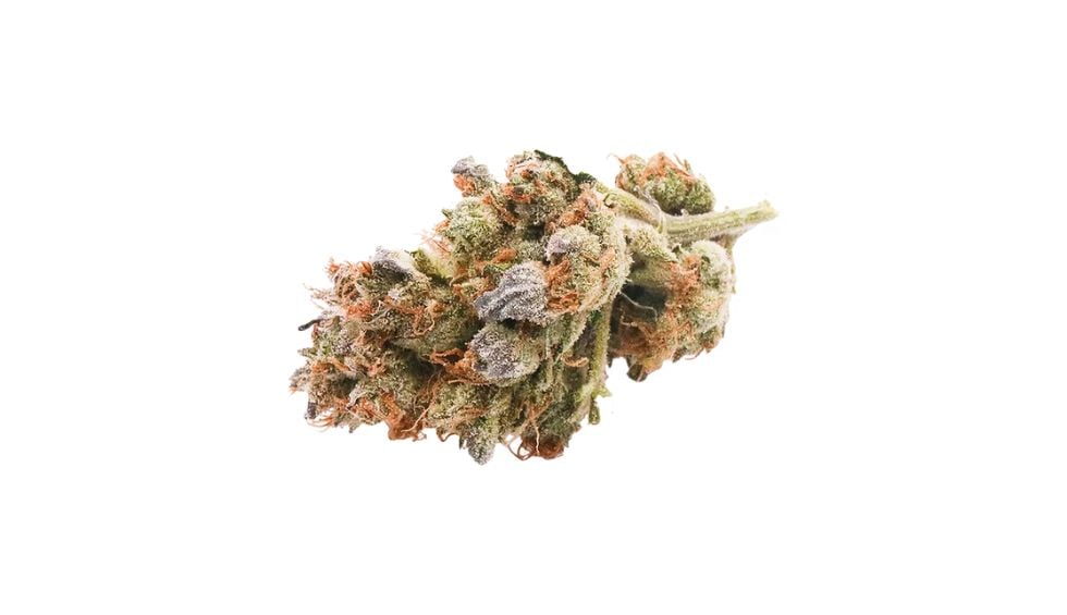 Blue Dream’s sweet flavours are one of the main reasons why it has become a go-to choice for stoners who buy weed online in Canada. 