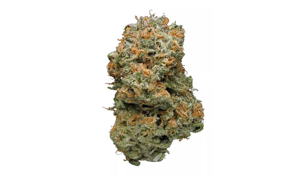 This bud strain is one of the most potent buds you can buy from an online cannabis store in Canada.