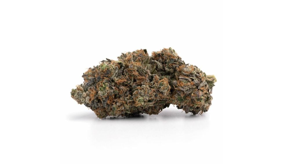 This strain has THC levels ranging between 24% and 29%, making it a perfect choice for stoners looking for an incredibly high dose of THC. 