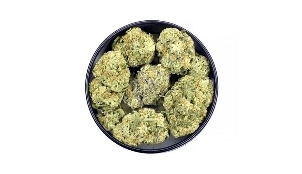 Based on its aroma and flavour, you can tell that the Bruce Banner strain has a rich and exciting terpene profile that gives it unique attributes. 