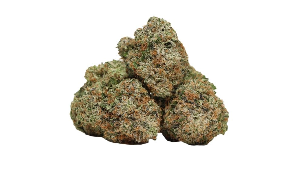 Bruce Banner Weed not only talks the talk but also walks the walk. Want to experience what this Sativa bud has to offer? Buy yours today.