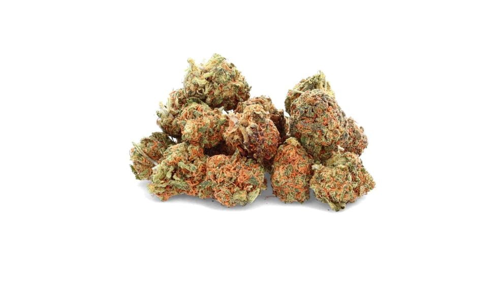 This strain stands out for its energizing properties, but how does it compare to other well-known strains? Let's find out!