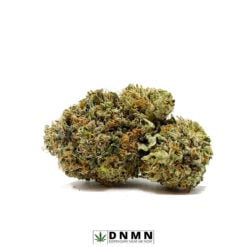 Master OG - Buy Weed Online - Dispensary Near Me Now