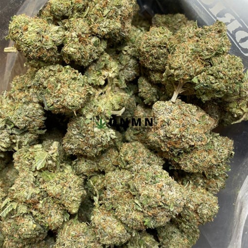 Skywalker OG - Online Dispensary Canada - Dispensary Near Me Now