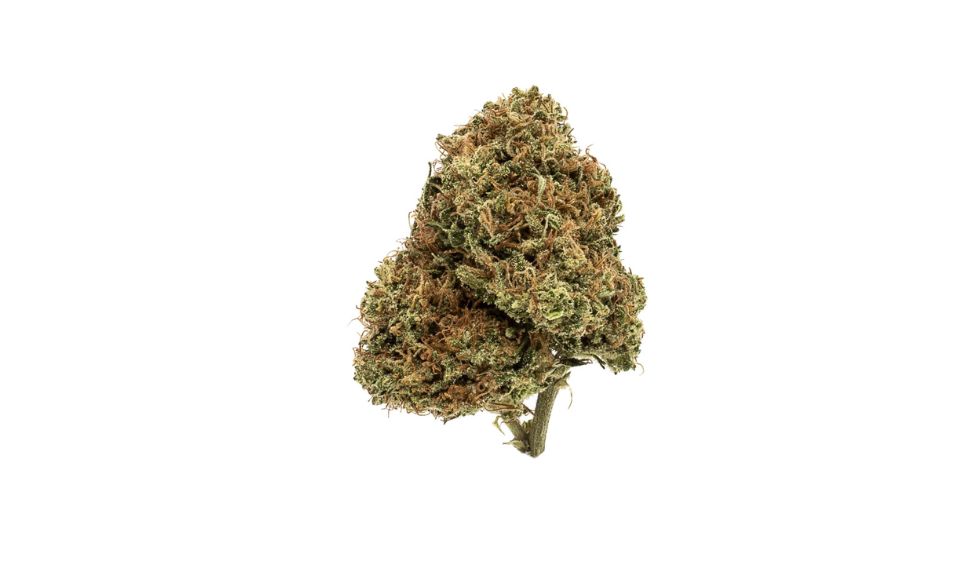 Many buy weed online in Canada for its distinct characteristics. Some for its ability to ease stress and anxiety, others for an energy boost. 