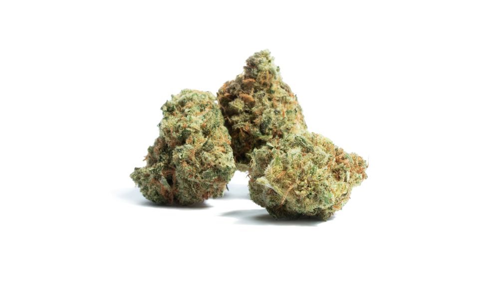 It is a cannabis strain recognized for its strong effects and unique characteristics. 