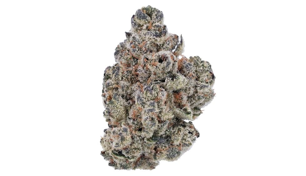 Although the original cultivator is unknown, this breeding created a potent and flavoursome Blue Dream, a strain we all love.