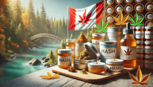 Buy Hash Online Best Places to Purchase Quality Hash in Canada