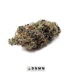 Purple Gas Mask - Buy Weed Online - Dispensary Near Me Now