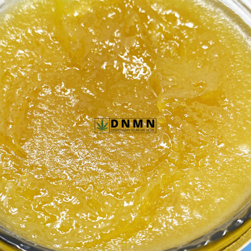 Tropical Haze Live Resin - Buy Weed Online - Dispensary Near Me Now