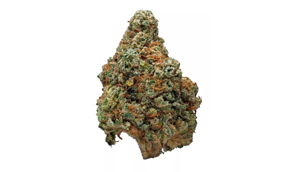 Also known as the Zombie weed strain, the Zombie OG strain is a high-THC, indica-dominant cross between OG Kush and Blackberry. 