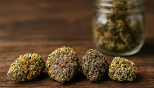 Close-up of assorted colorful ganja buds lined up on a wooden table with a glass jar of cannabis in the background